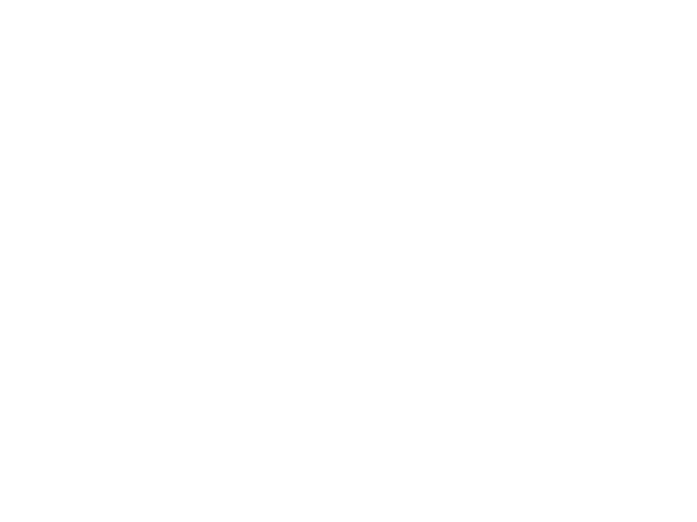 Super Formula