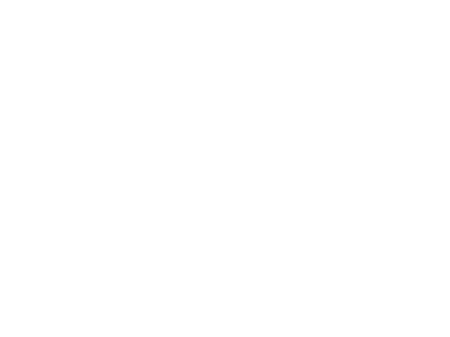 DS AUTOMOBILES