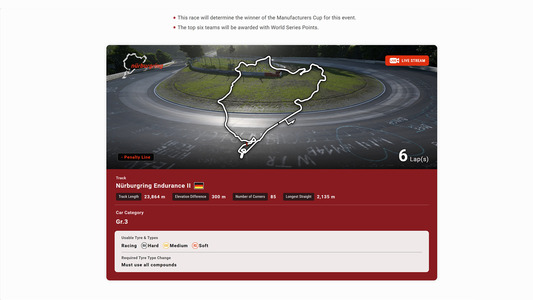 Special Page: Race Structure